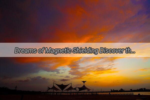 Dreams of Magnetic Shielding Discover the Power of Protective Energy Vortexes